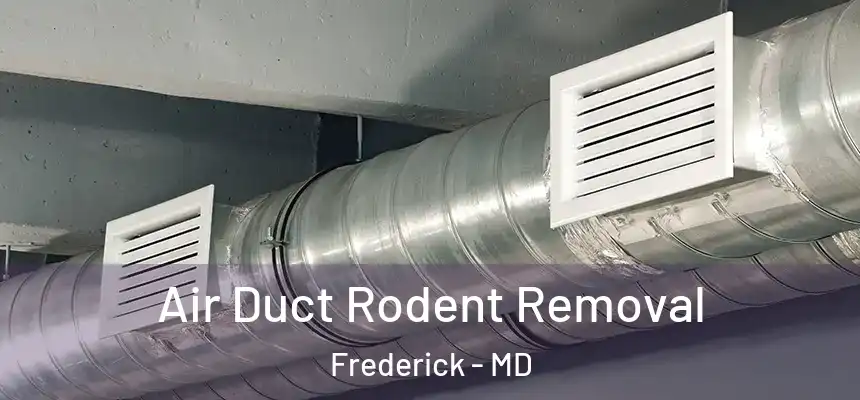 Air Duct Rodent Removal Frederick - MD