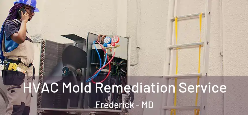 HVAC Mold Remediation Service Frederick - MD
