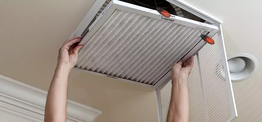 Preventive Cockroach-Proofing for Ducts in Frederick