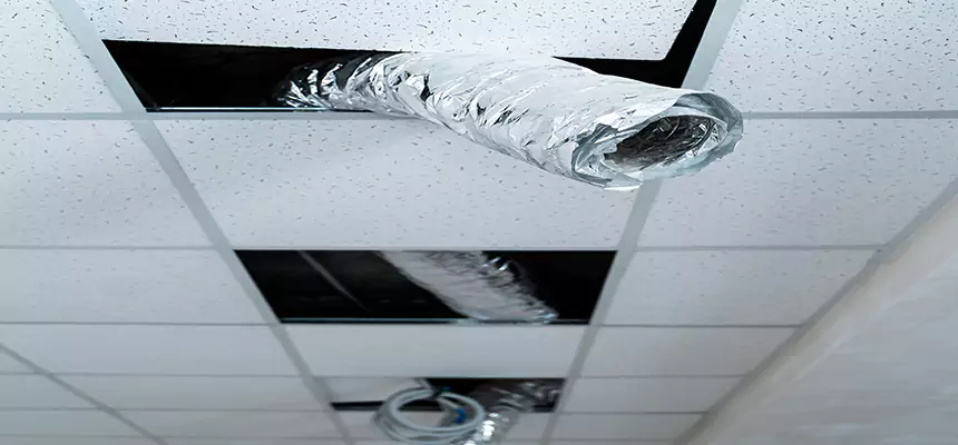 Affordable HVAC Sanitizing After Pest Removal in Frederick