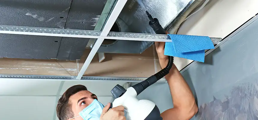 Our Air Duct Rodent Removal Services in Frederick, MD