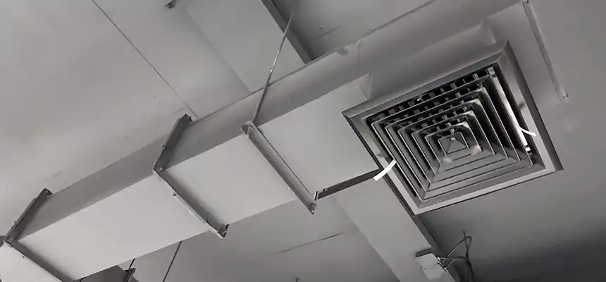 Our Rodent Droppings In Vents Services in Frederick, MD