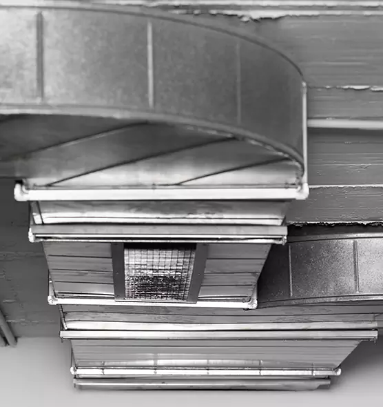 Professional Air Duct Pest Removal in Frederick, MD