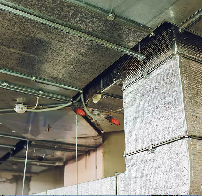 Why Homeowners & Businesses Trust Us in Frederick, MD?