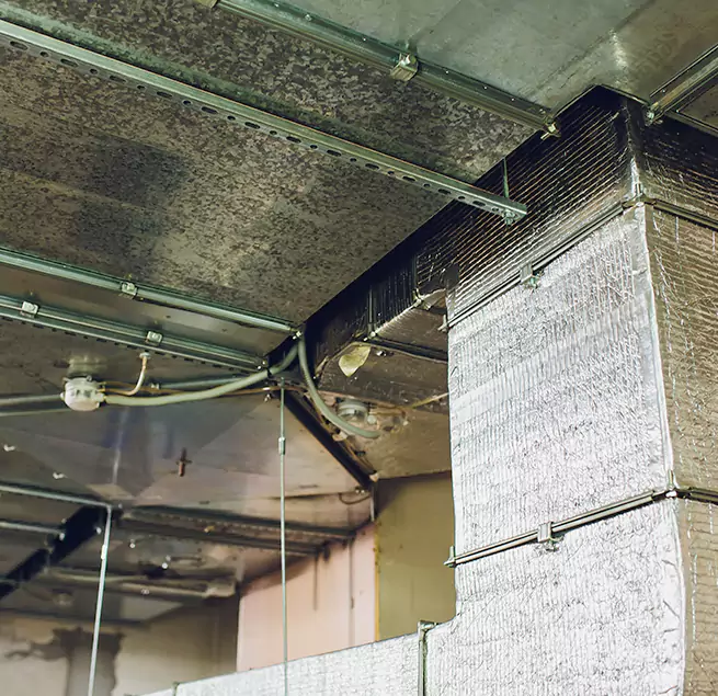 Why Homeowners & Businesses Trust Us in Frederick, MD?